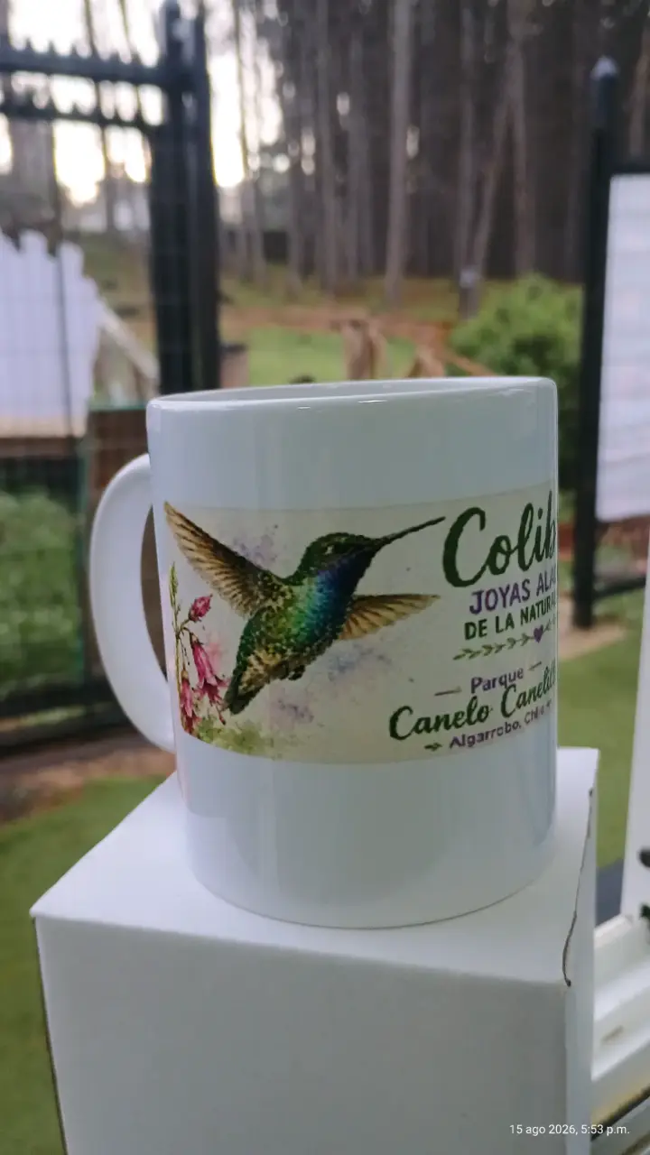 Taza de cerámica con diseño de Algarrobo - 2