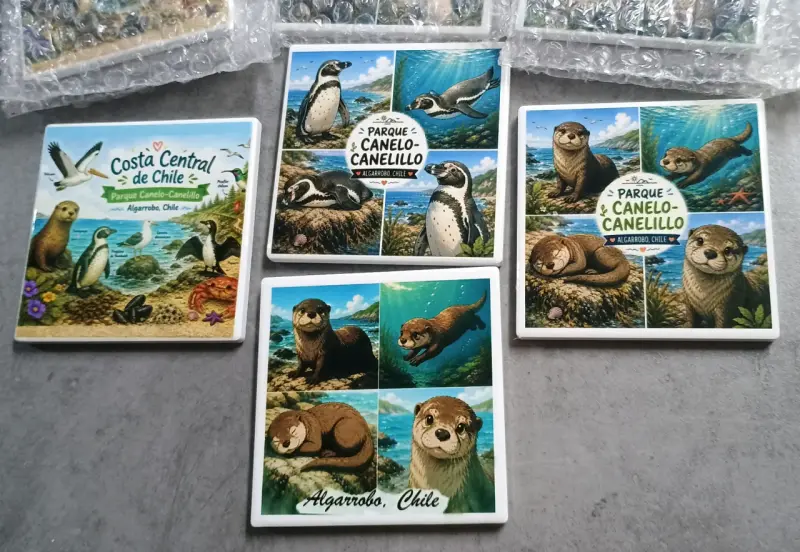 Set de Posavasos Parque Canelo-Canelillo Algarrobo