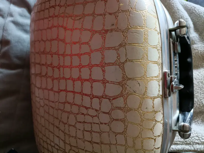 Maletín vintage con diseño de cocodrilo - 5