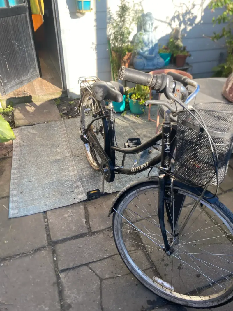 Bicicleta urbana Oxford con canasto - 2