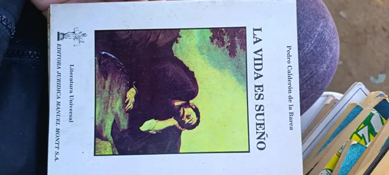 Libro 'La Vida es Sueño'