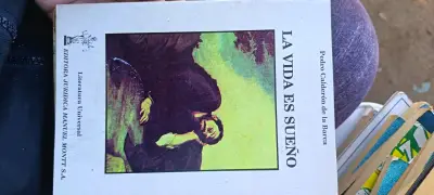 Libro 'La Vida es Sueño' - miniatura 1