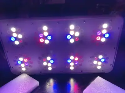 Luz LED para cultivo interior Grow Light - miniatura 5