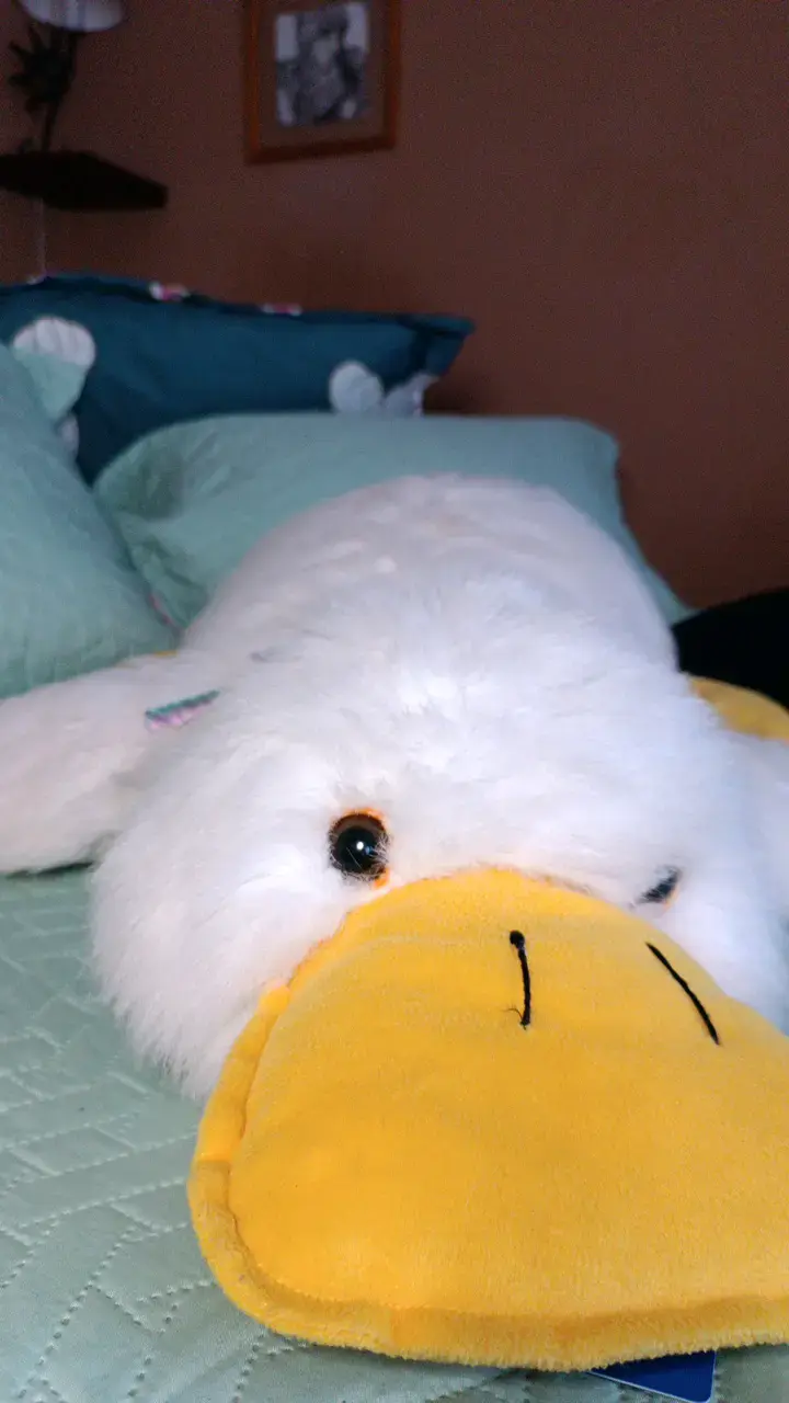 Peluche de pato grande blanco y amarillo - 3
