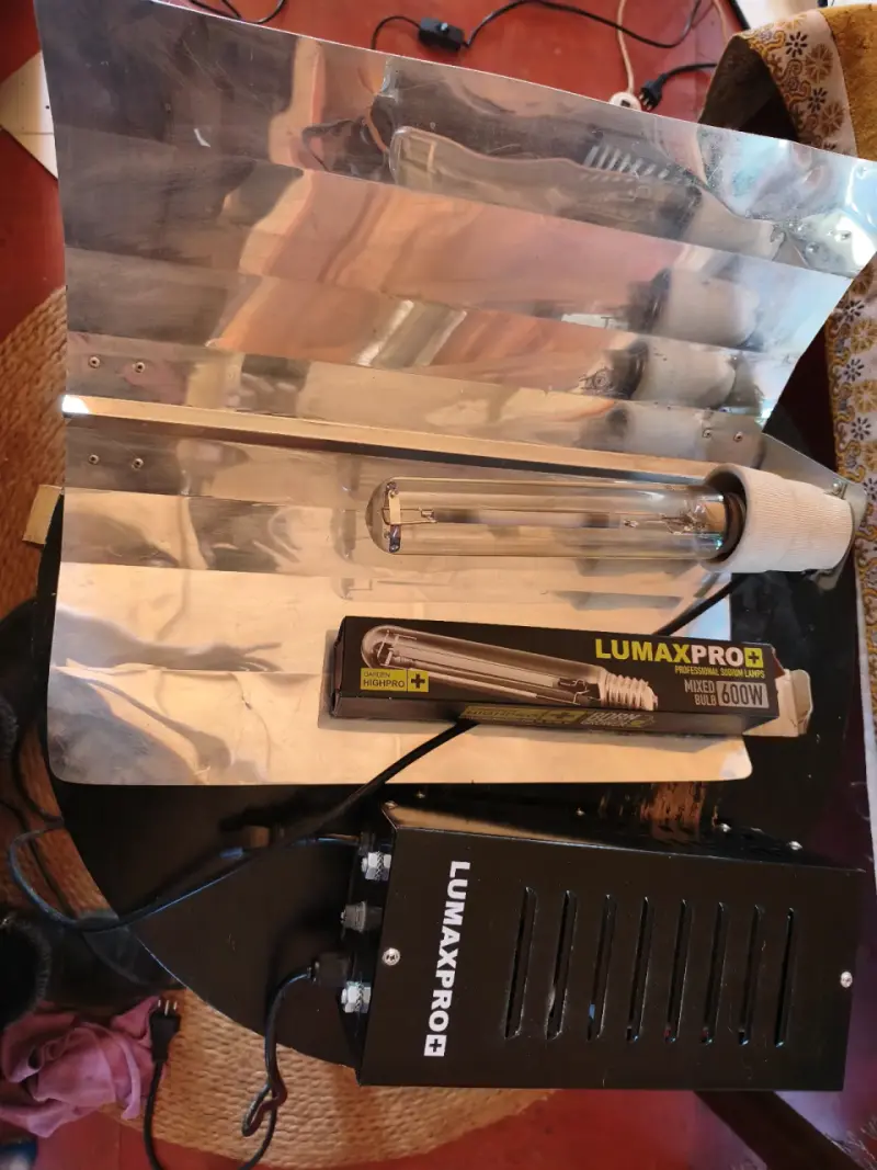 Kit de iluminación Lumaxpro 600W para cultivo - 5
