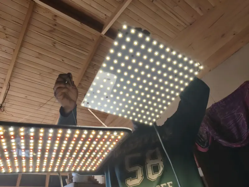 Paneles LED para cultivo interior - 3