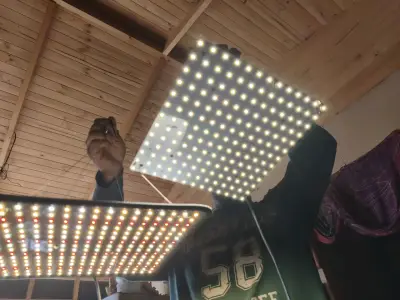 Paneles LED para cultivo interior - miniatura 3