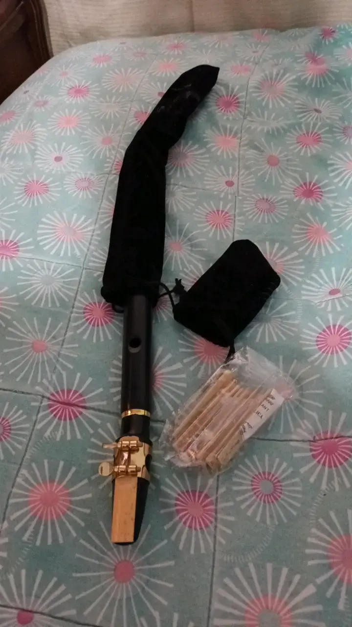 Saxofón soprano con boquilla y cañas - 2