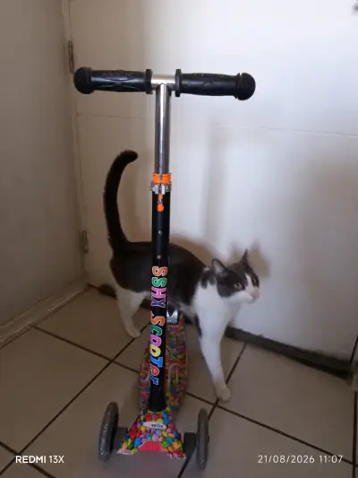 Scooter infantil colorido con 3 ruedas - miniatura 3