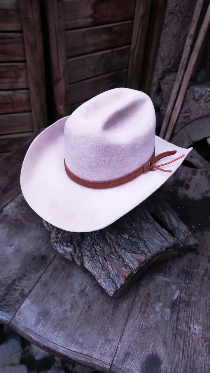 Sombrero Vaquero Texana Cowboy Yellowstone - 5
