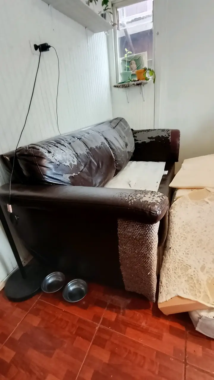 Sofá de cuero desgastado para reparación - 1