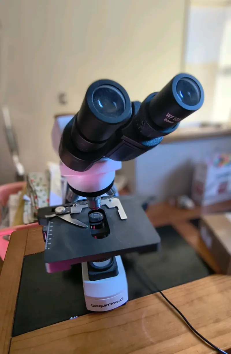 Microscopio binocular (con cámara USB) - 1
