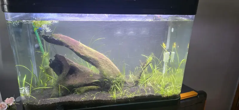 Acuario completo con filtro y luces LED - 1