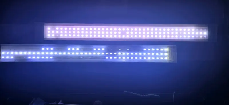 Acuario completo con filtro y luces LED - 4