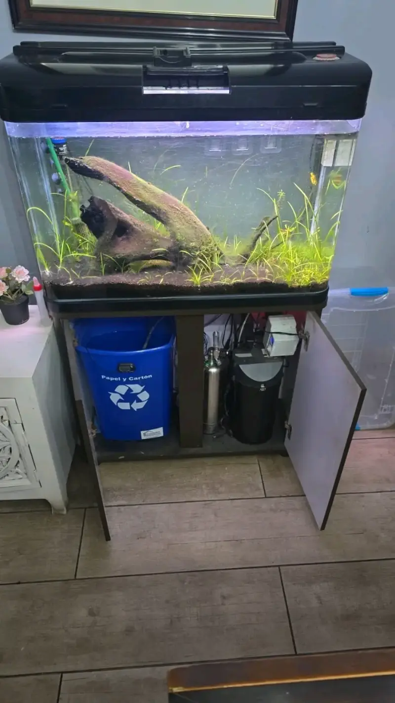 Acuario completo con filtro y luces LED - 5