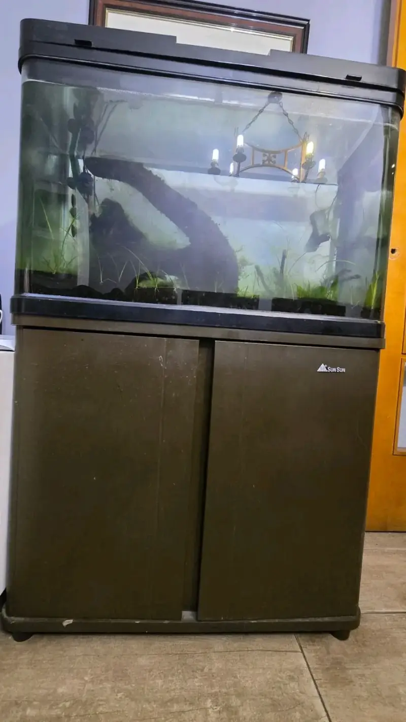 Acuario completo con filtro y luces LED - 6