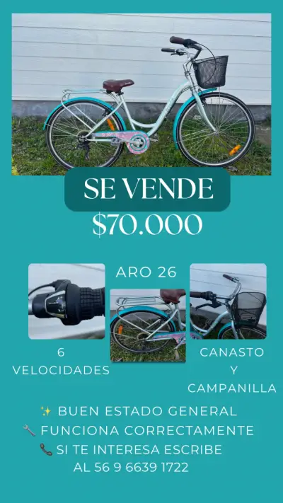 Bicicleta Bianchi Aro 26 con Canasto y 6V - miniatura 1