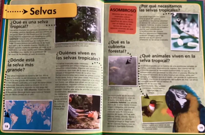 Libro 'Nuestro Mundo' educativo - 4