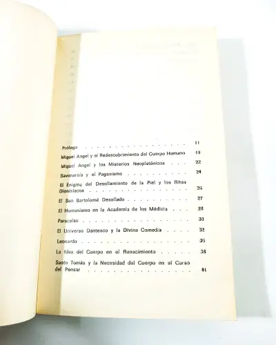 Miguel Ángel: El Alma y El Cuerpo - Armando Roa. - miniatura 2