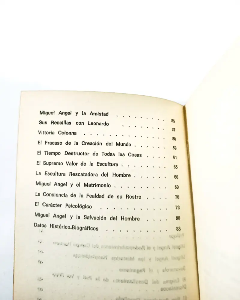 Miguel Ángel: El Alma y El Cuerpo - Armando Roa. - 3
