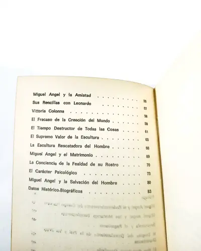 Miguel Ángel: El Alma y El Cuerpo - Armando Roa. - miniatura 3