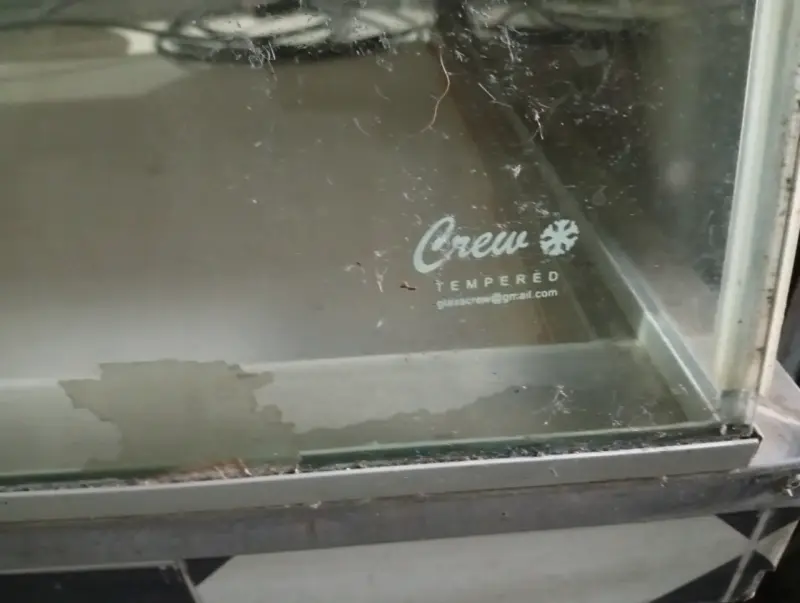 Vitrina Refrigerada de Vidrio Templado - 3