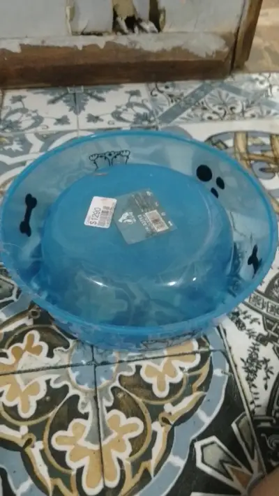 Cuenco de perro de agua para bulldog francés - miniatura 5