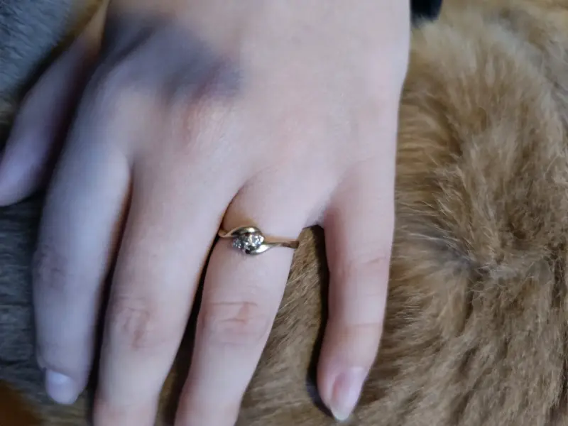 Anillo de oro