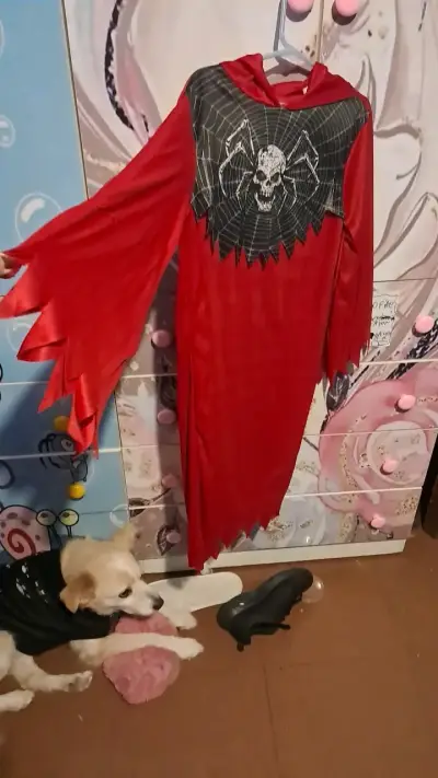 Disfraz de Halloween rojo con diseño de araña - miniatura 2