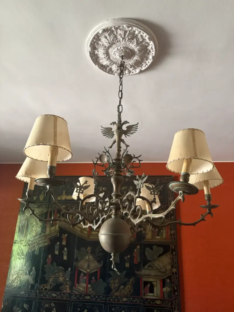 Lámpara de Araña de Hierro Forjado con Pantallas - 3