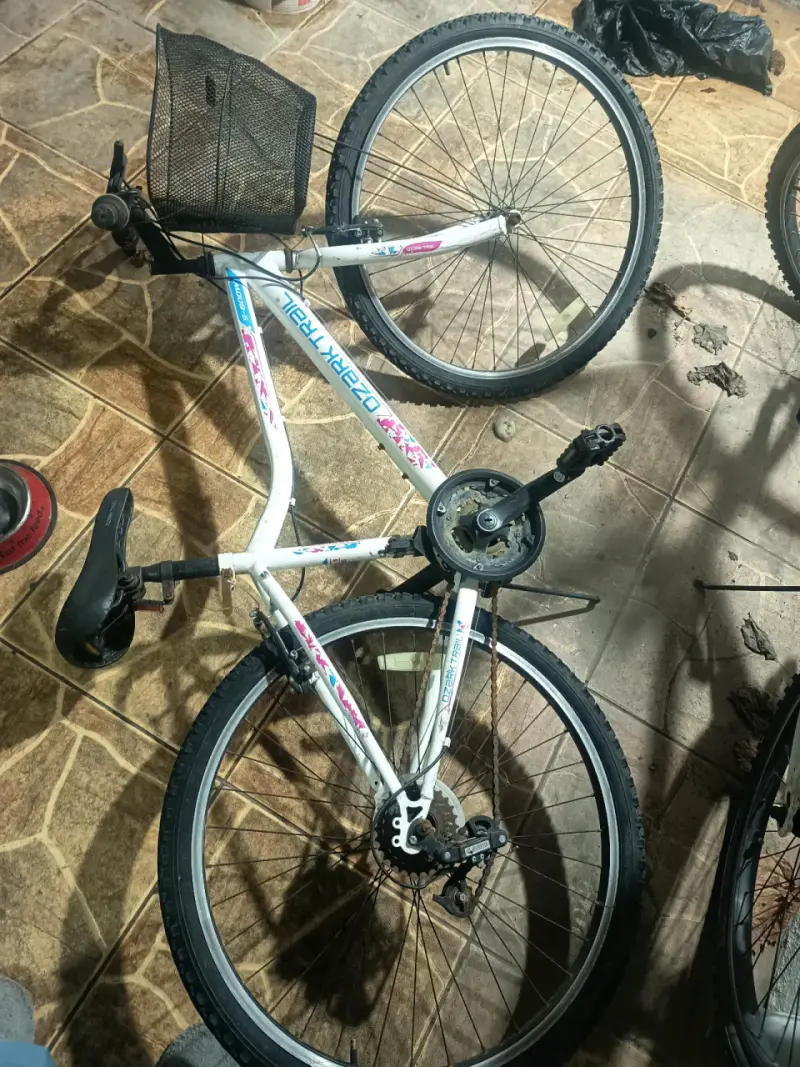 Bicicleta de montaña blanca con canasto - 4