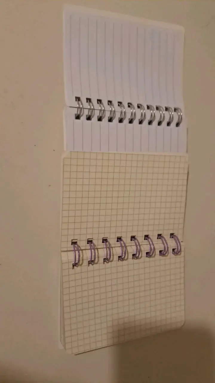 Cuadernos pequeños con diseño de panda y oso - 2