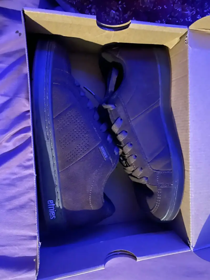 Zapatillas de skate cafes Etnies Kingpin - 1