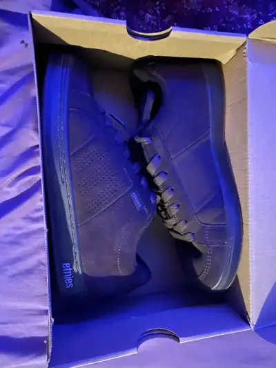 Zapatillas de skate cafes Etnies Kingpin - miniatura 1
