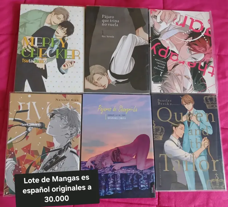 Venta de mangas originales - 1