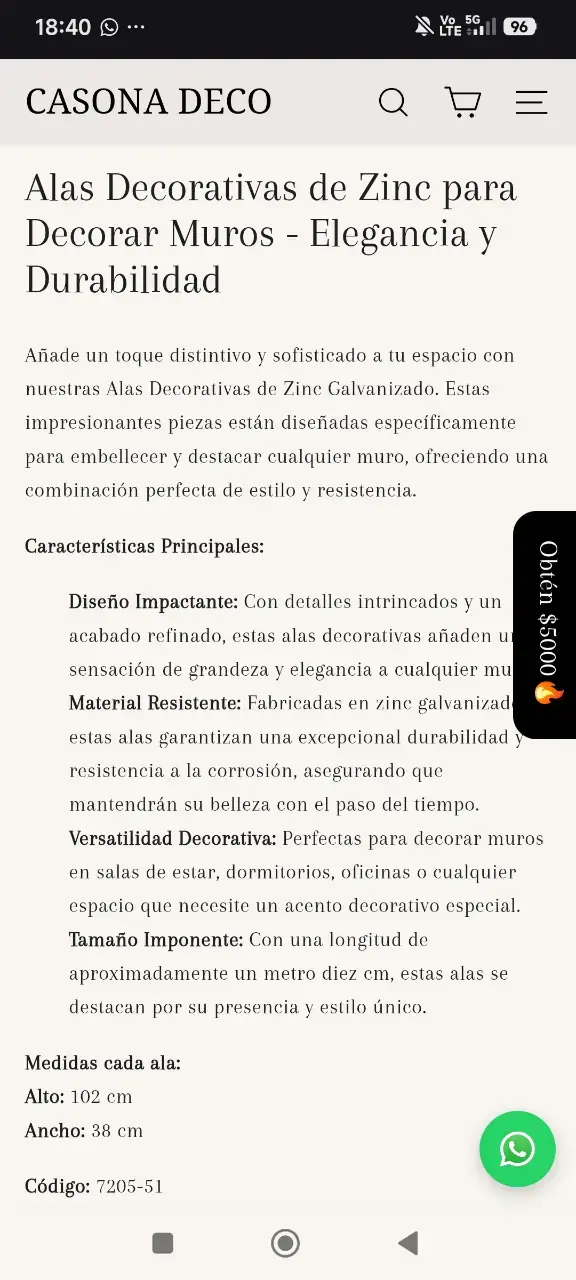 Alas decorativas de zinc para muro - 2