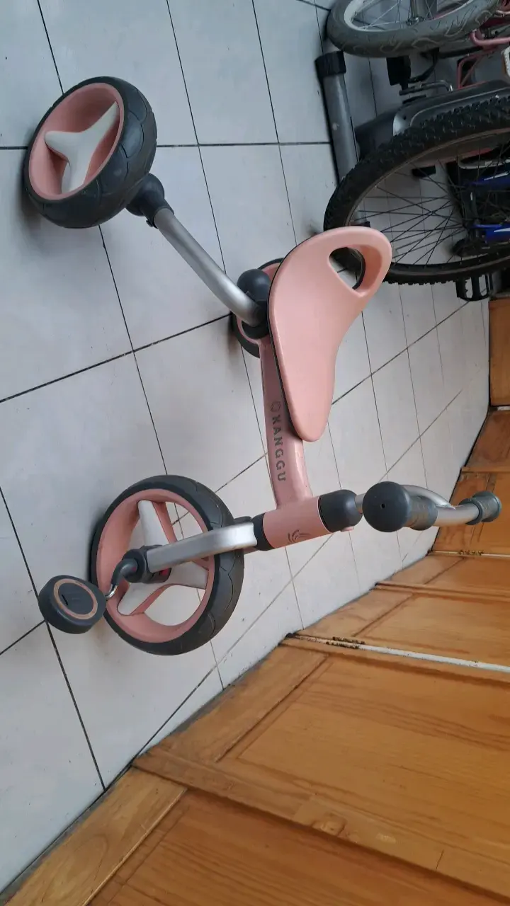 TRICICLO KANGGU ROSADO - 2