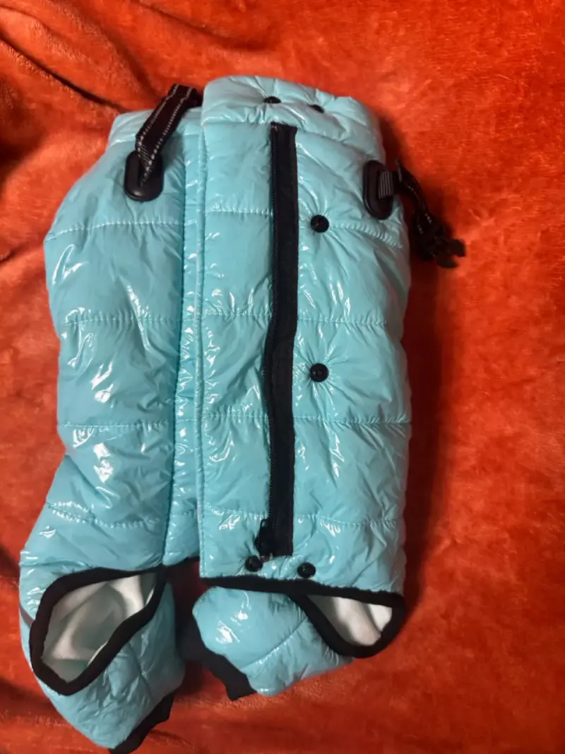 Abrigo impermeable para perro color celeste - 1