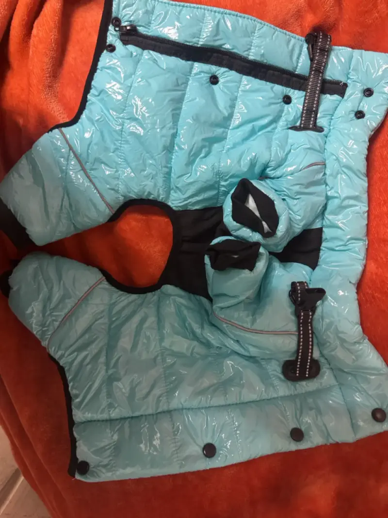 Abrigo impermeable para perro color celeste - 2