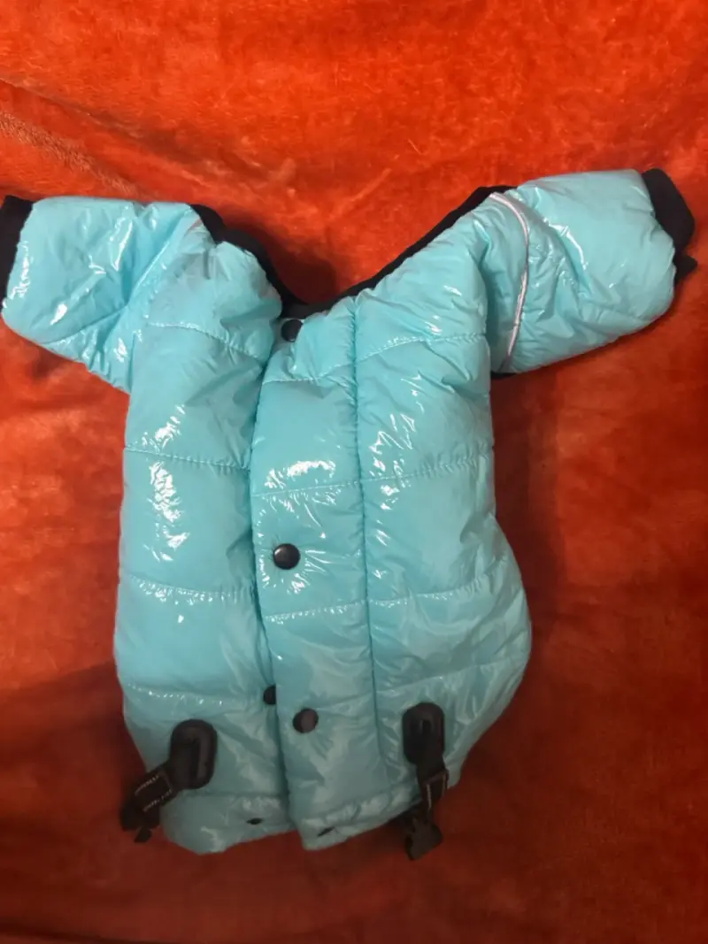 Abrigo impermeable para perro color celeste - 3