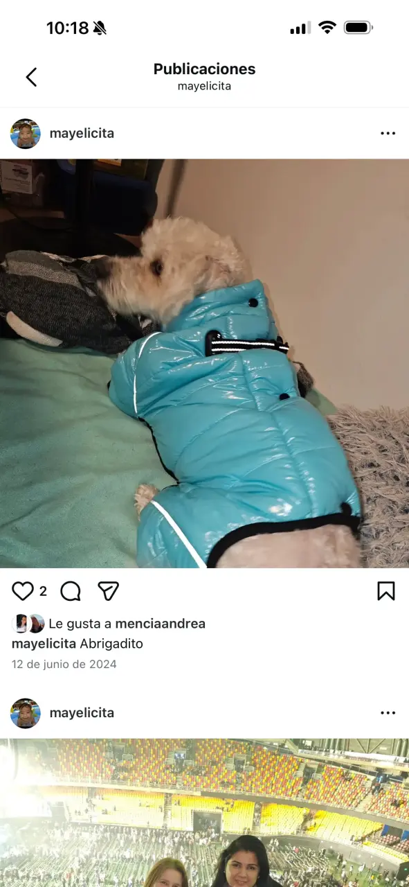 Abrigo impermeable para perro color celeste - 4
