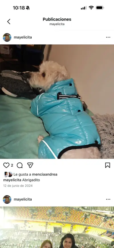 Abrigo impermeable para perro color celeste - miniatura 4