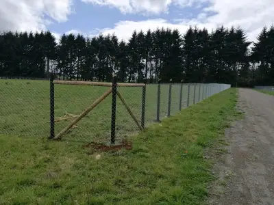 Parcela en  Frutillar: Seguridad, Conectividad y N - miniatura 6
