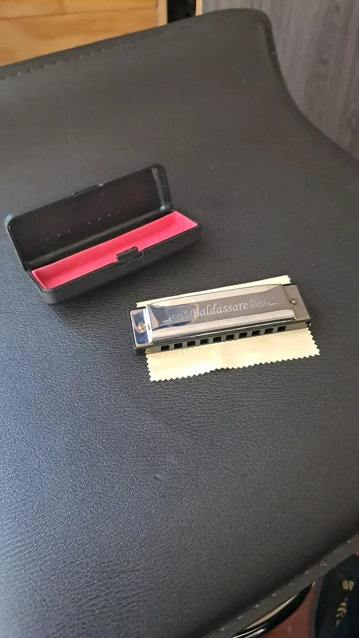 Armónica Baldassare D10-7C en estuche con paño - 3