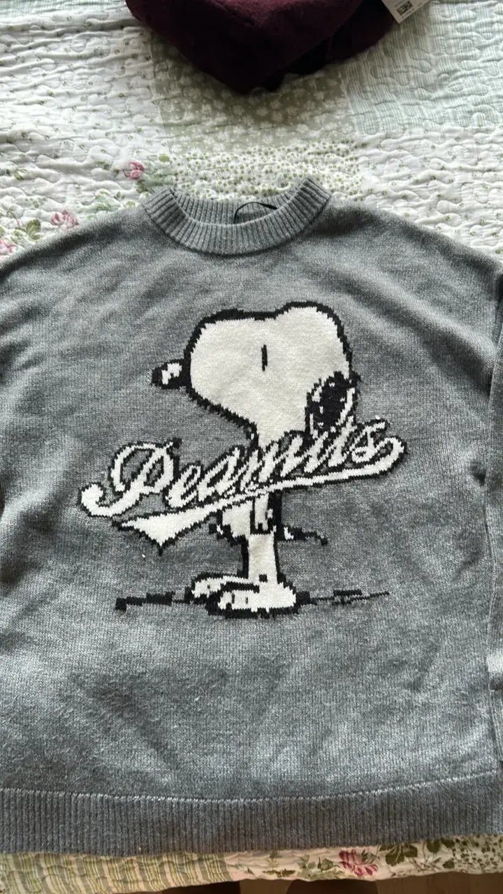 Suéter gris con diseño de Snoopy - 1