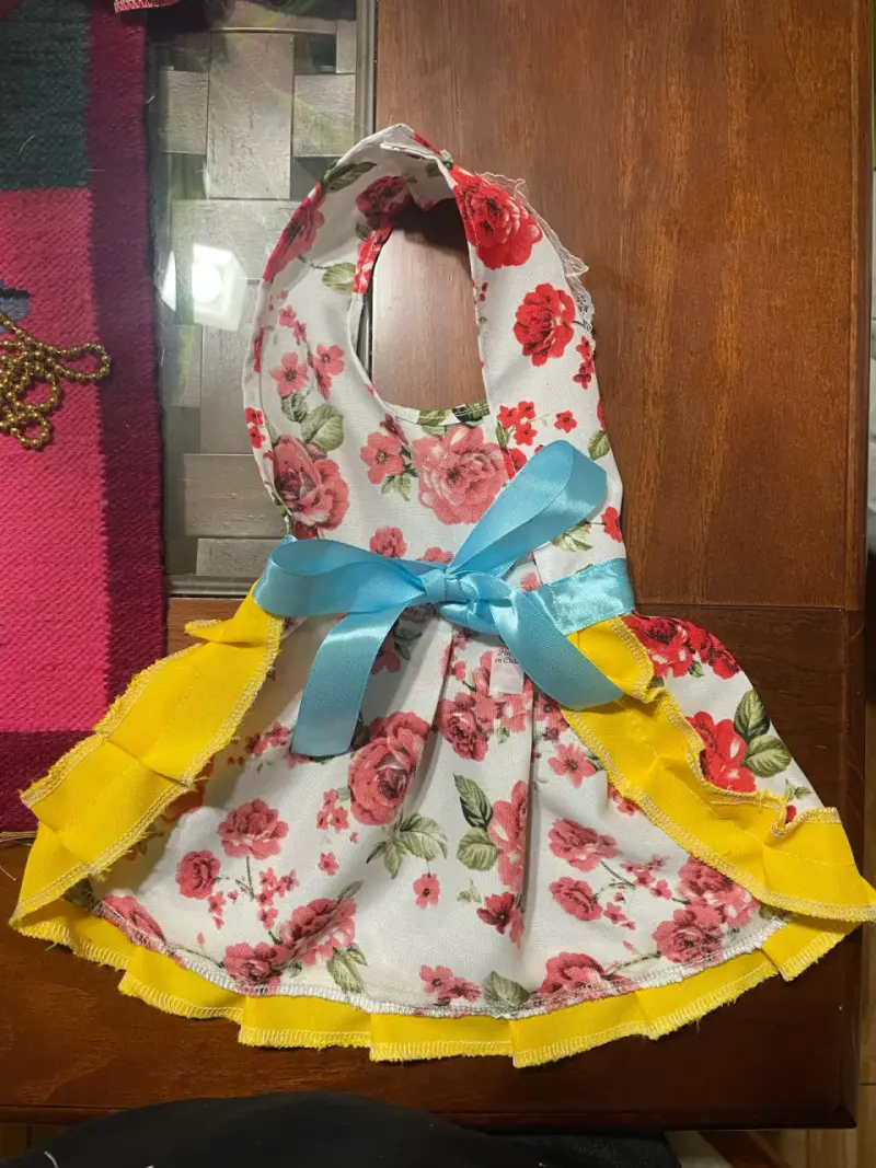 Vestido Huasa para mascota con lazo azul - 2