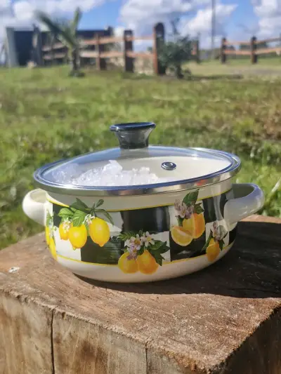 Juego de ollas esmaltadas con diseño floral - miniatura 3