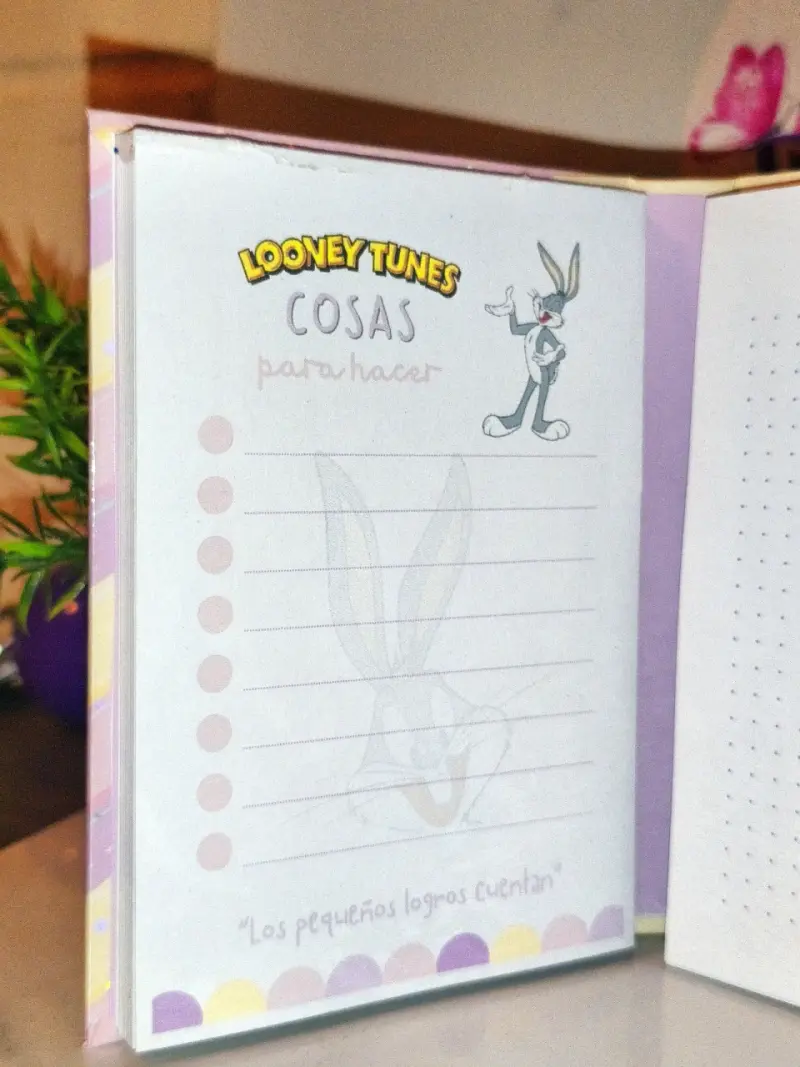 Agenda Looney Tunes con diseño divertido - 3