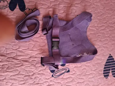 Arnés de seguridad para bebé color lila - miniatura 1