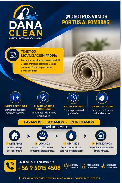 Lavado de alfombras - 2